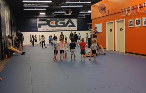 Ann Arbor Jiu-Jitsu academy